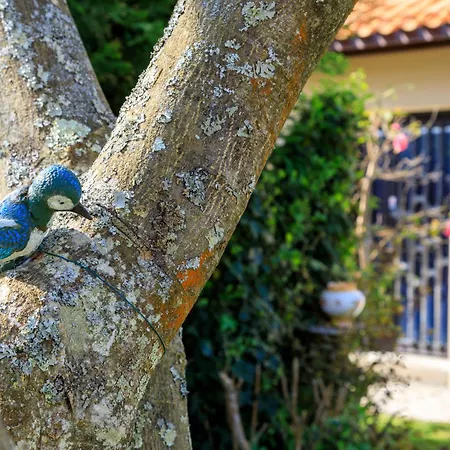 L'oiseau Bleu By Interhome *