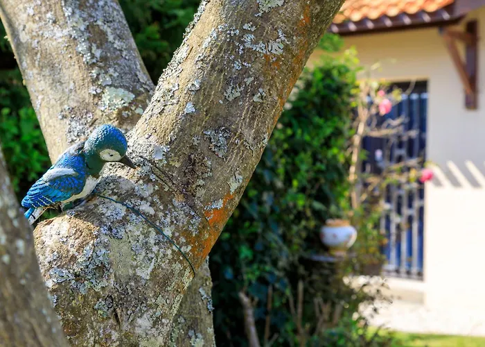 L'oiseau Bleu By Interhome *